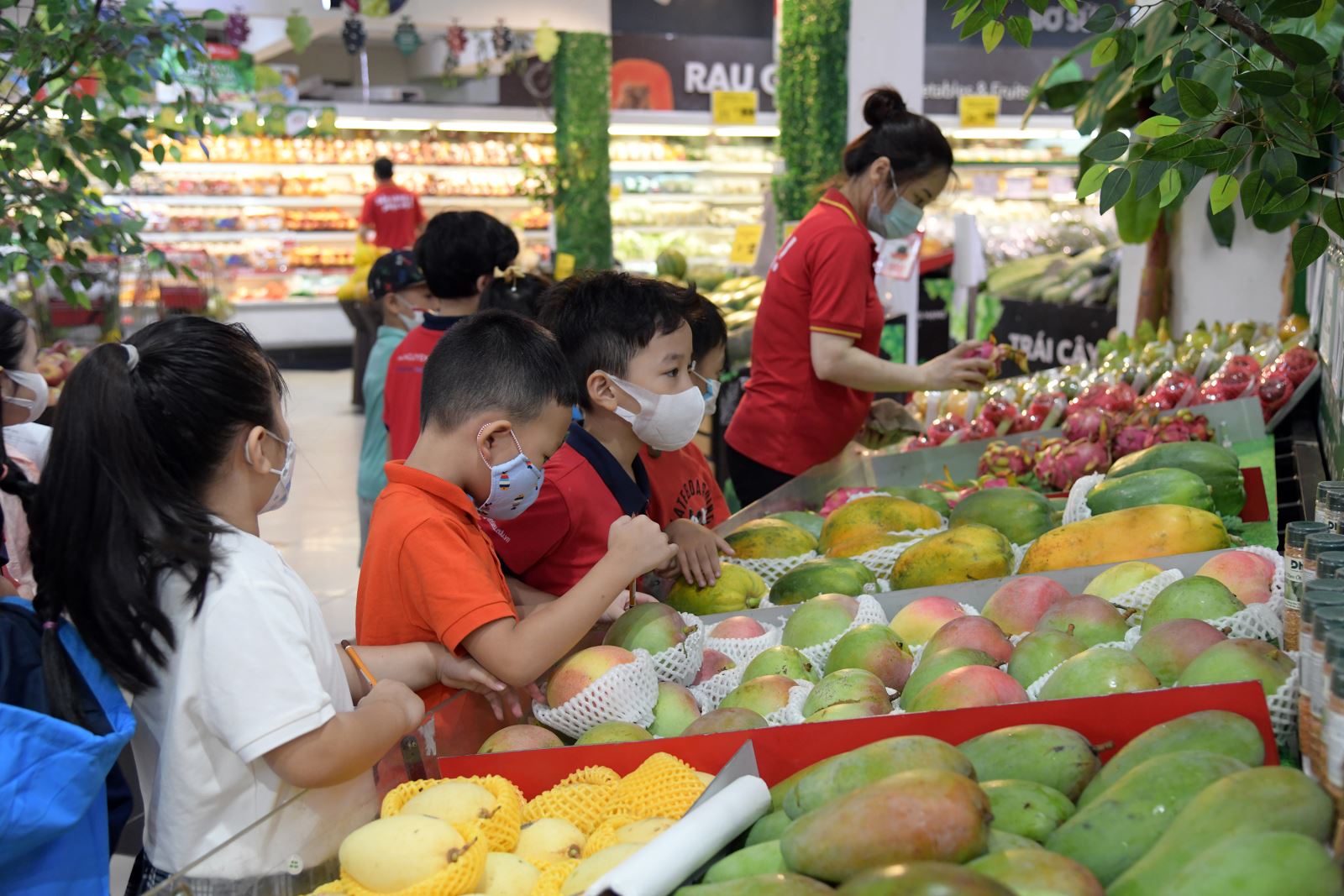 Học sinh lớp 1 trải nghiệm thế giới hoa quả trong siêu thị