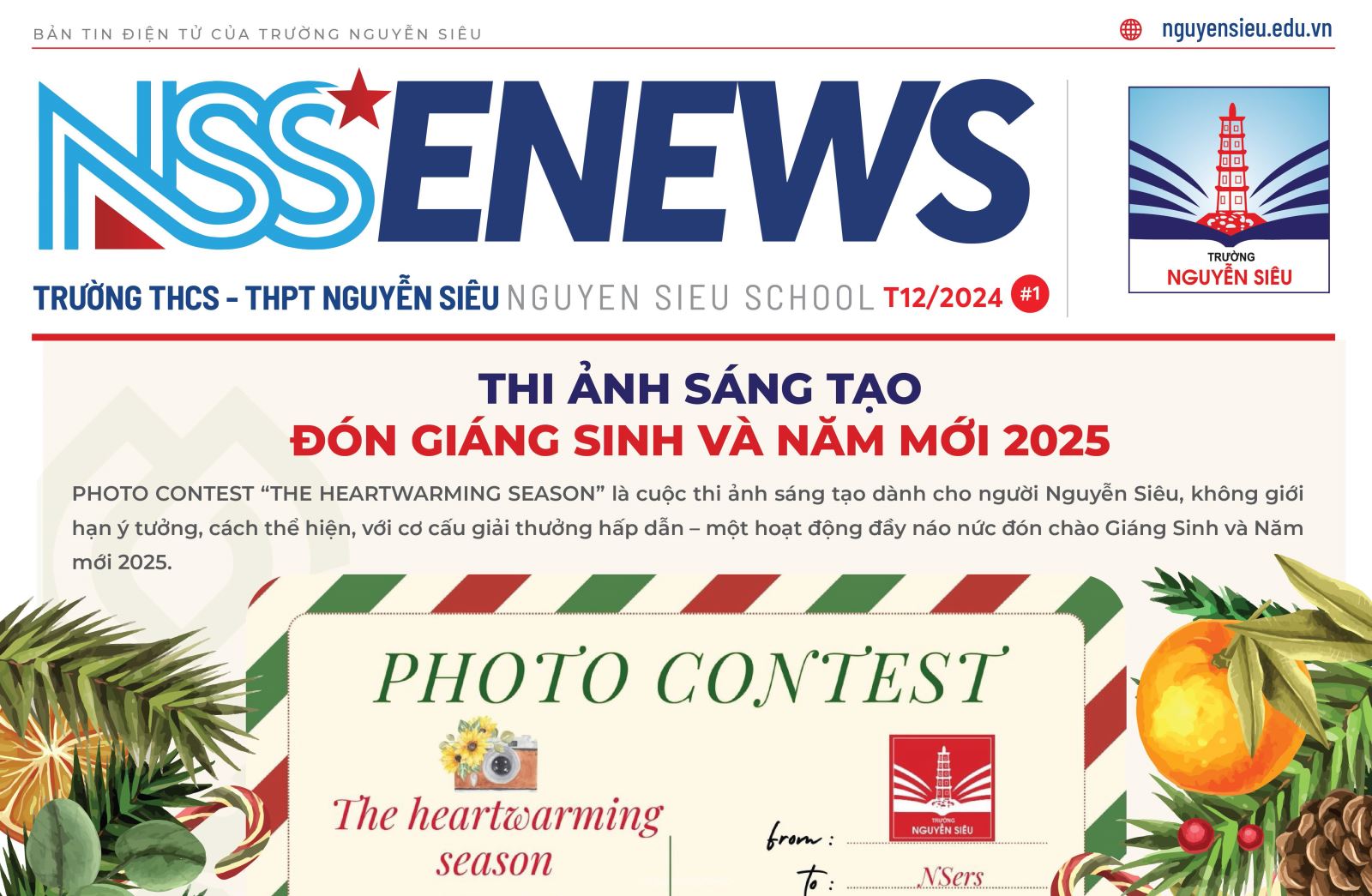 NSS eNEWS #9 (12/2024)