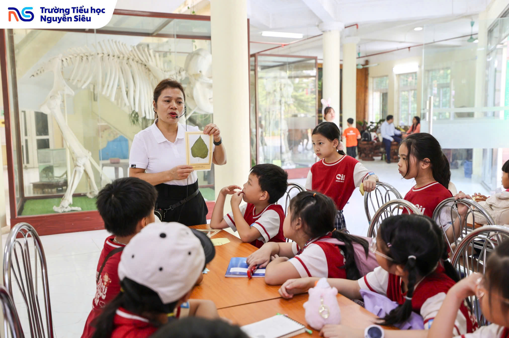 Học sinh Tiểu học Nguyễn Siêu tại Bảo tàng Tài nguyên Rừng Việt Nam
